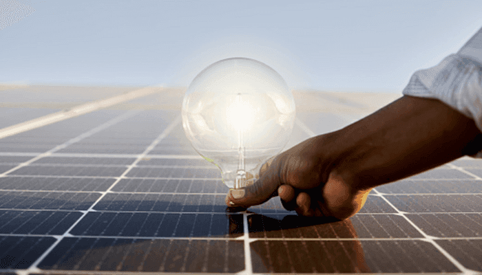 Agrivoltaics: How Solar Energy Projects Can Boost Farming and Restore Degraded Land