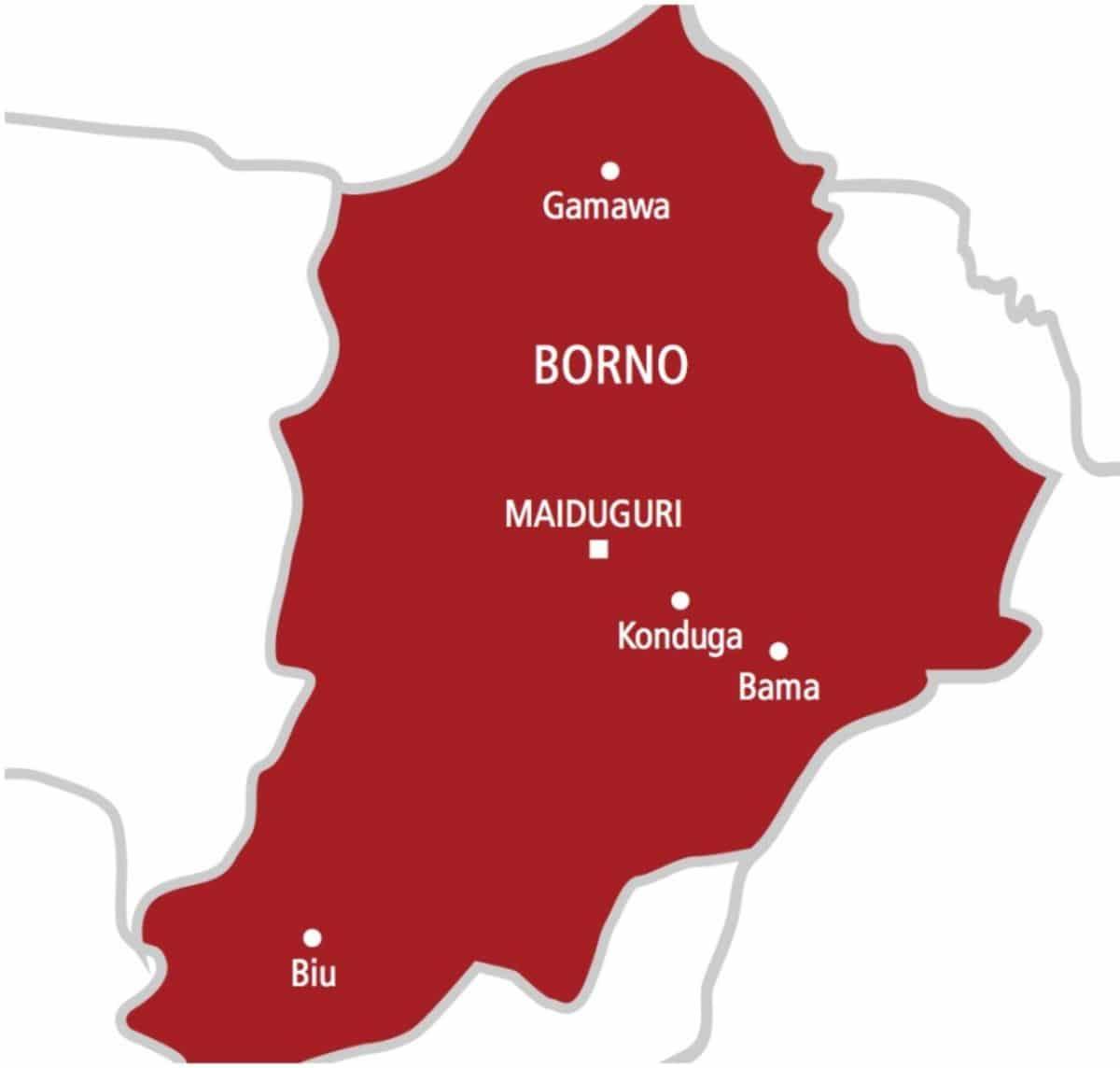 Scores of Terrorists Killed in Failed Attack on Borno Community