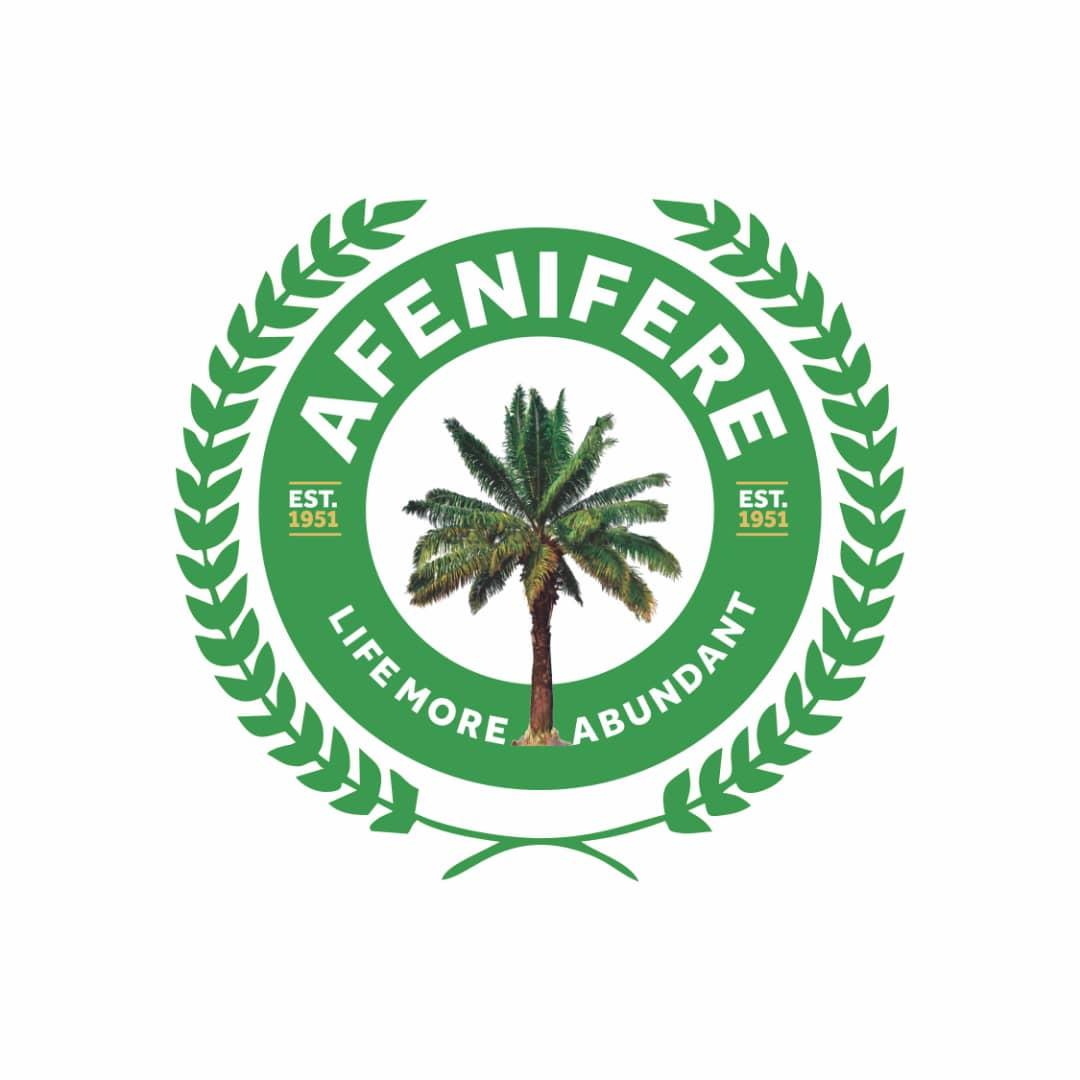 Afenifere Reaffirms Support for Southern Presidency in 2027: Analysing the Early Political Maneuvering