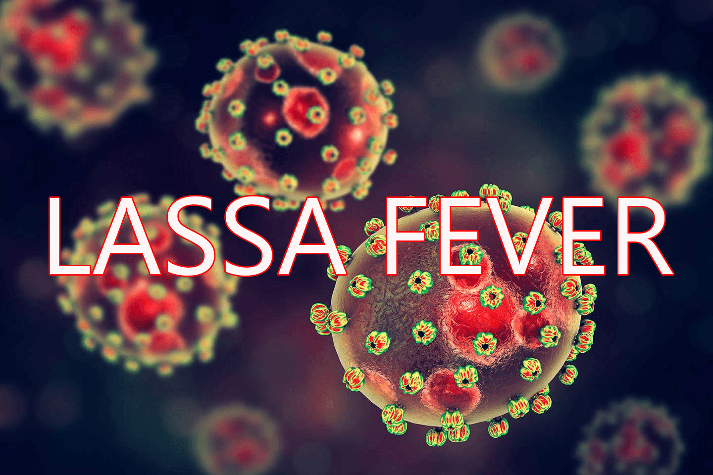 Lassa Fever Outbreak Claims 10 Lives in Benue