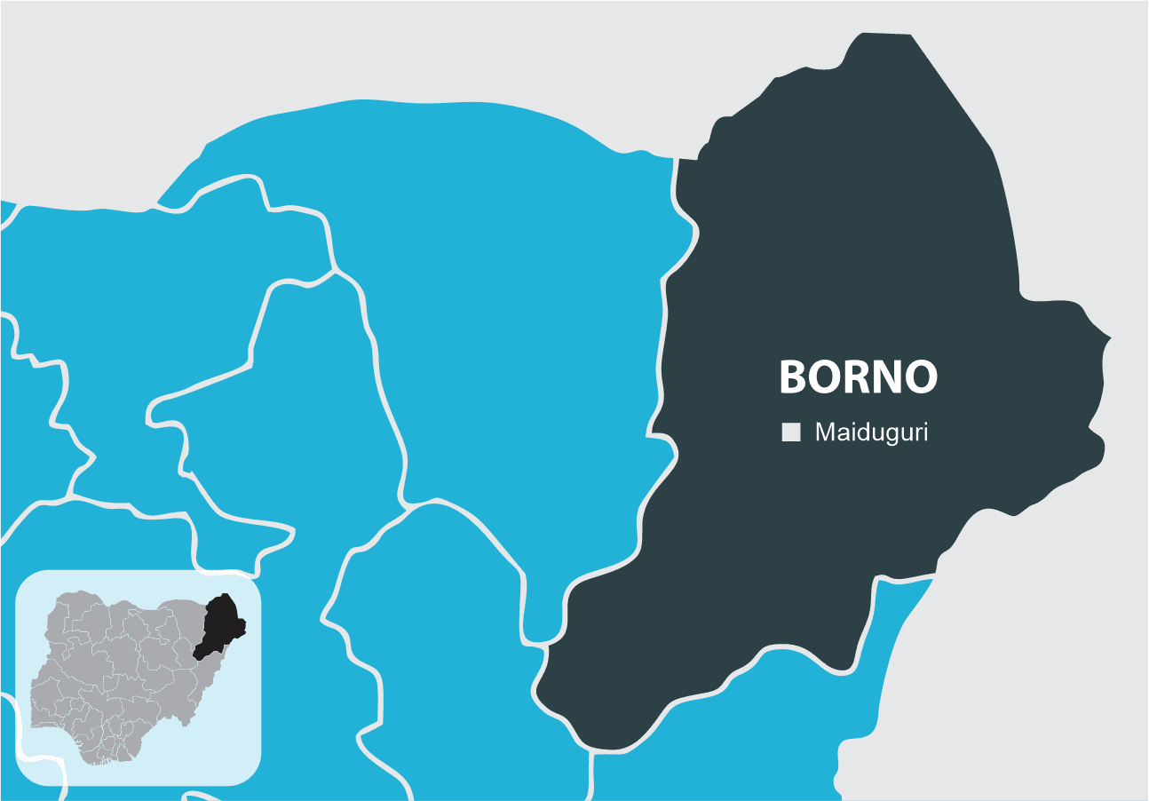 Militant Group Claims Responsibility for Borno Massacre and Mass Abduction of 300