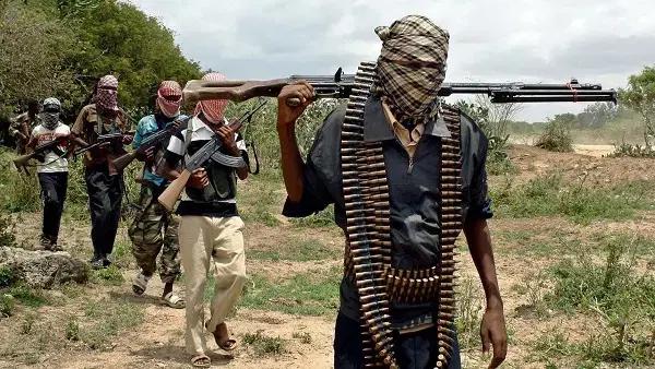Nasarawa, Kogi, Benue residents detail terror routes and camps