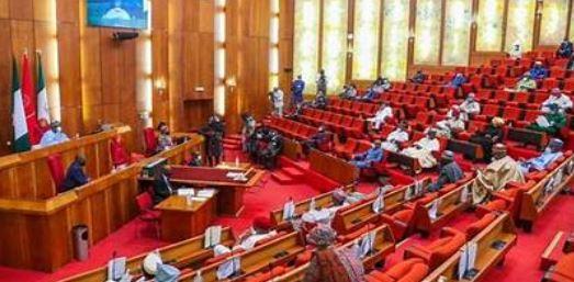 Senate Approves N1.75 Trillion 2025 NDDC Budget: Full Breakdown and Implications