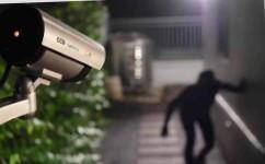 Photo Lies: The Growing Crisis of Digital Deception and How to Spot It