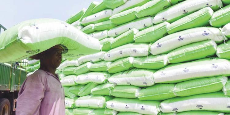Nigeria Deploys N250 Billion Credit and 2.15 Million Fertilizer Bags in Major Food Security Push