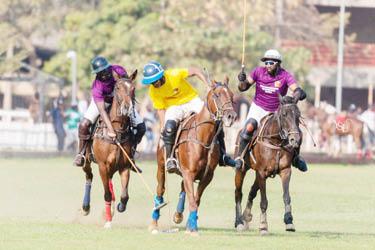 Northern Nigeria Polo Clubs Prepare for Eid Fiesta Tournaments