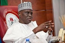 Tinubu's Deliberate Youth Mainstreaming: Policy Shift or Political Narrative?