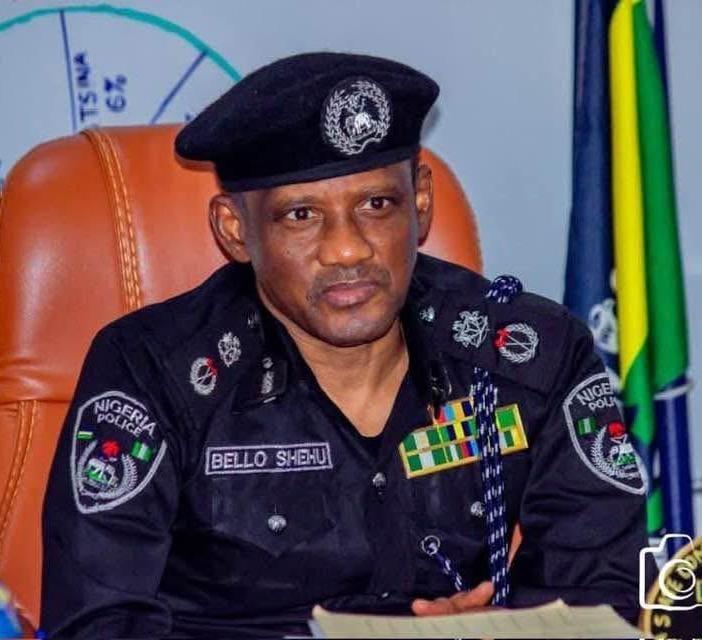 Why Gombe Governor's Celebration of Two AIG Promotions Is a Political Statement