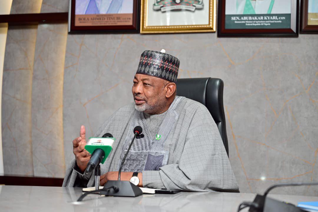 Food Prices Plummet 50%, Minister Credits Tinubu's Policies