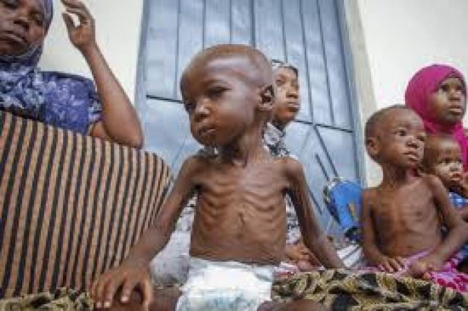 6.4 Million Children Face Acute Malnutrition in Northern Nigeria: A Humanitarian Crisis Explained