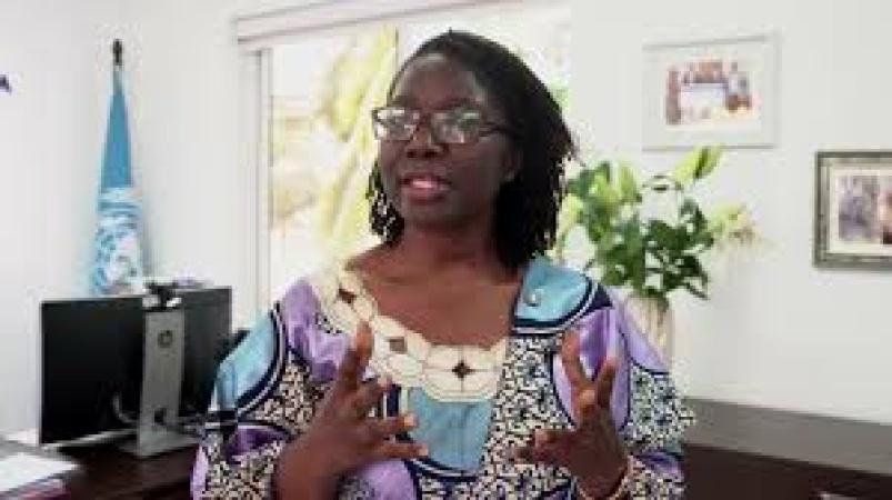 Over 60,000 Nigerian Migrants Assisted in Voluntary Return Since 2017, IOM Reports