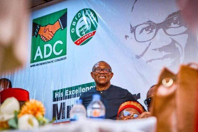 Peter Obi's 2023 Bid and 'The Obedient Question': Testing Nigeria's Political Foundations